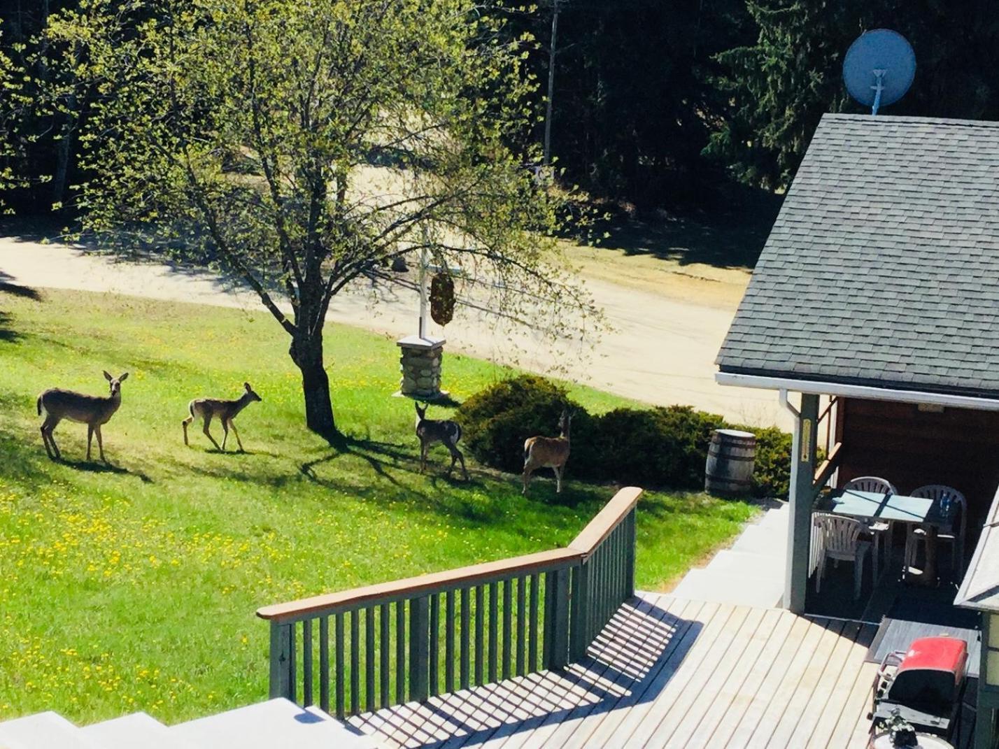 Dream Catcher Inn Вейлмаунт Экстерьер фото